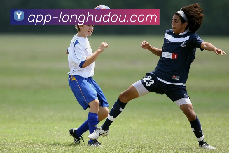 龙虎斗App发展历程